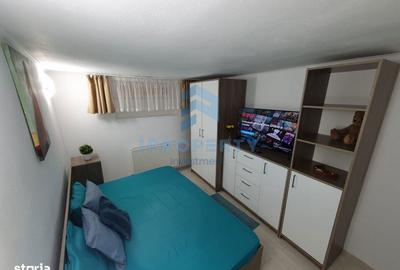 Apartament cu 2 camere, mobilat în Cișmigiu - 10