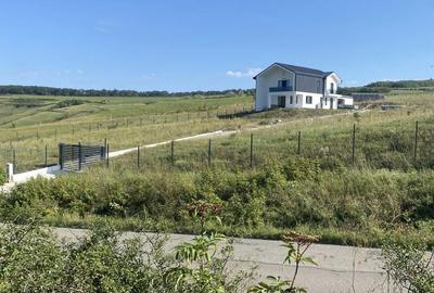 Spațiu comercial, în Pata