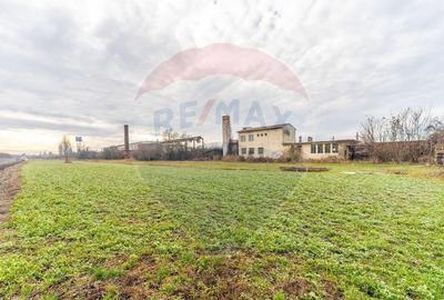 Vila 4 camere si teren 4421mp de vanzare - 6