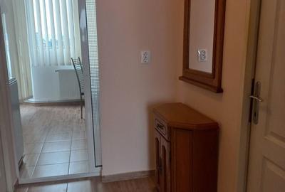 Garsonieră decomandată în Dosu Bricii - 3