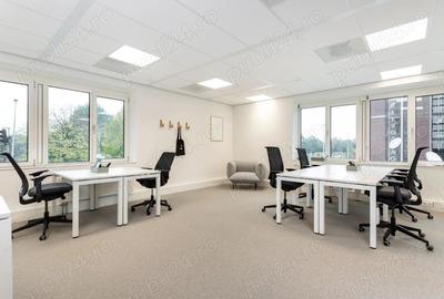 Spa?iu de birou profesionist in Spaces Business Garden in condi?ii complet flexibile - 3