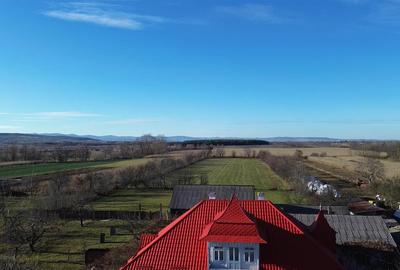 Casă individuală cu 6 camere cu Teren 12500 Mp în Sasca Mică - 3