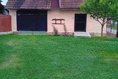 Casă cu 3 camere cu Teren 700 Mp în Rișculița - 7