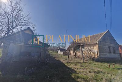 Casă individuală cu 2 camere cu Teren 5003 Mp în Cebza - 9