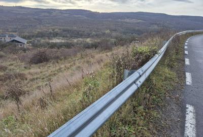 Teren de 14500 mp, în Baciu - 5