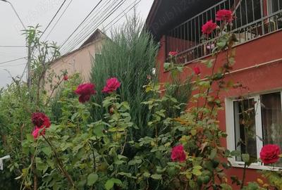 Casă cu 1 camere cu Teren 315 Mp în Ceangăi - 5