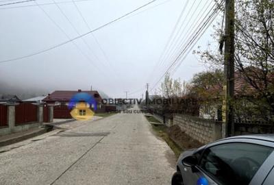 Teren Vadurele de vanzare 1776 mp - 2