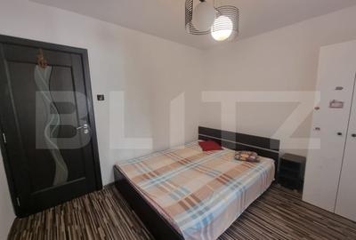 Apartament cu 3 camere, centrala termica si AC, cartier Brazda lui Novac - 9
