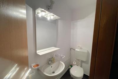 Apartament cu 3 camere decomandat, mobilat în Nicolae Grigorescu - 16