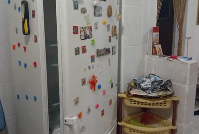 Apartament cu 3 camere decomandat, mobilat în Dristor - 15