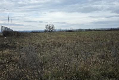 Teren Construcții intravilan de 4029 mp, în Central - 2