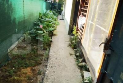 Casă cu 3 camere cu Teren 222 Mp în Elisabetin - 3