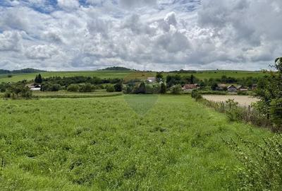 Teren Construcții intravilan de 3200 mp, în Așchileu Mic - 5