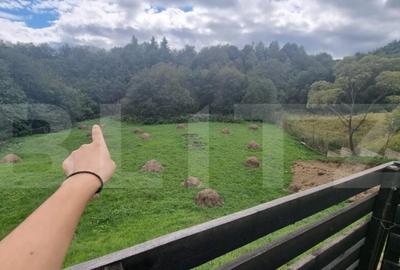 Casă cu 4 camere cu Teren 4158 Mp în Central - 3