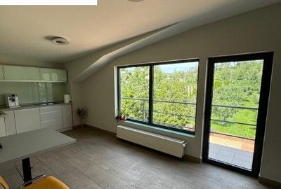 Ansamblu de hale, zona ie?ire spre Izvoare. Pre? 5 Eur/mp - 10