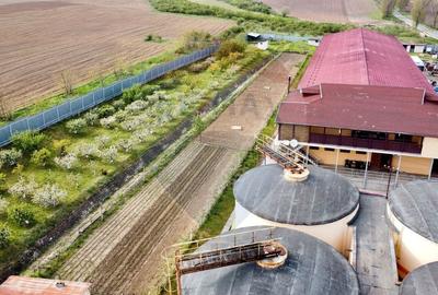 Crama Buciumeni - 12