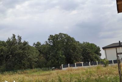 Teren de 1600 mp, în Cernica - 5