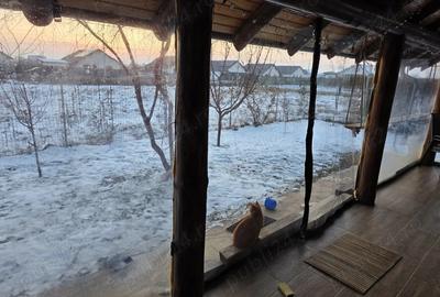 Casă cu 2 camere cu Teren 435 Mp în Horia - 3