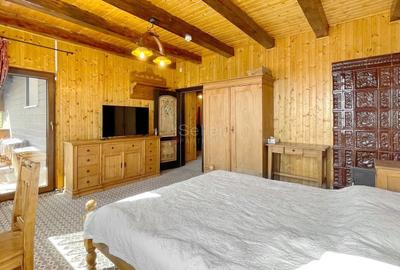 Complex de 3 case pe 18000 mp teren - 21