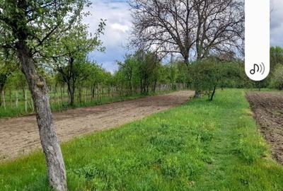 Teren de 2403 mp, în Iedera - 1