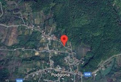 Casă cu 6 camere cu Teren 4650 Mp în Pruni - 4
