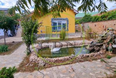 Casă individuală cu 4 camere cu Piscina în Bariera Vâlcii - 20