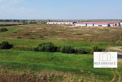 Teren PUZ Aprobat Pretabil Hale | 55.000mp - Park Industrial Sanandrei - 8