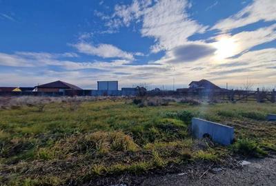 Teren de 800 mp, în Frumușeni - 2