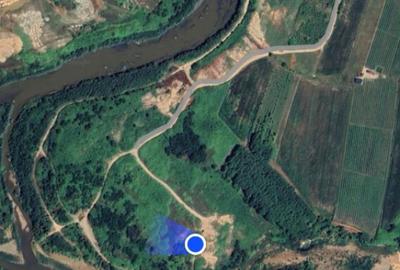 Teren de 8200 mp, în Tăuții-Măgherăuș - 3