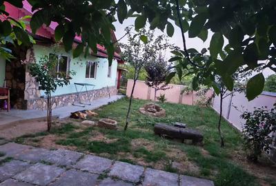 Casă cu 3 camere cu Teren 1050 Mp în Dealu Viei - 2