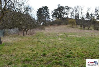 Teren de Zona Livezeni - 2