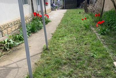 Casă cu 3 camere cu Teren 600 Mp în Jurilovca - 8