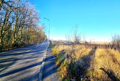 Teren intravilan, 2 fronturi, Drumul Padurea Pustnicu 65 - Greenfield - 4