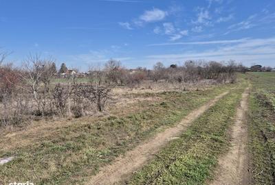 Teren de 1663 mp, în Ulmi - 2