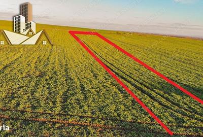 Spațiu comercial, în Giarmata - 3