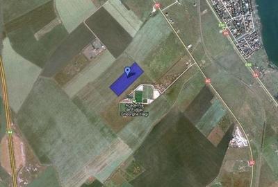 Teren 1.5 Ha Academia de fotbal Gheorghe Hagi - 2