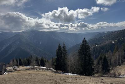 Teren de 5000 mp, în Măguri - 5