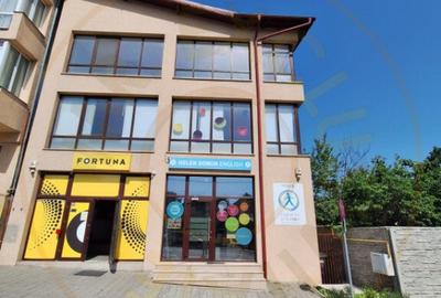 Spatiu Stradal Cu Vad Format - Razboieni
