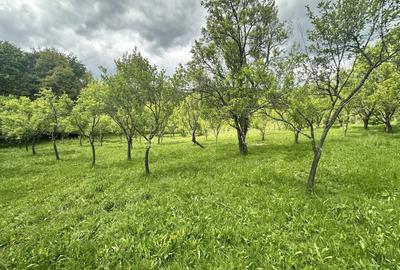 Teren intravilan 3102mp zona Racovita-Blanoiu - 7