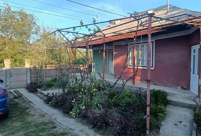 A 13. 20000 mp teren ?i 3 constructii casa in judetul Bacau - 4