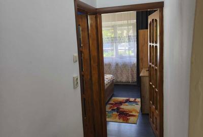 Apartament cu 2 camere decomandat în Rovine