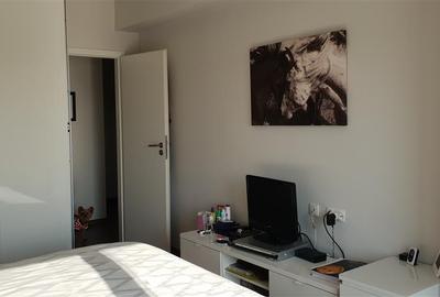 Apartament cu 2 camere decomandat, mobilat în Albert - 10