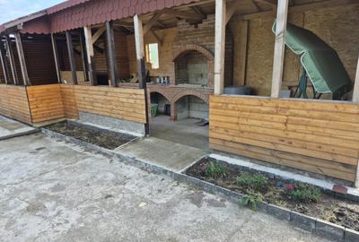 Casa batraneasca , foisor si teren de vanzare - 13