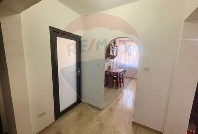 Apartament cu 2 camere semidecomandat, mobilat în Ocna Șugatag - 9