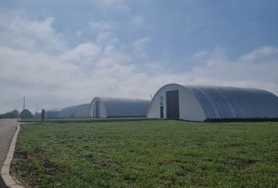 Industrial PARK for Sale – 4 Warehouses with Land, Near Bucharest (INTRAVILAN) - 3