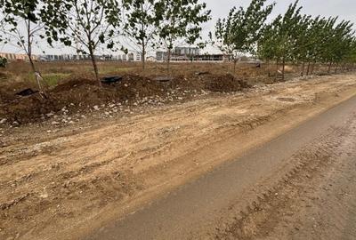 Teren Construcții intravilan de 6000 mp, în Theodor Pallady - 3