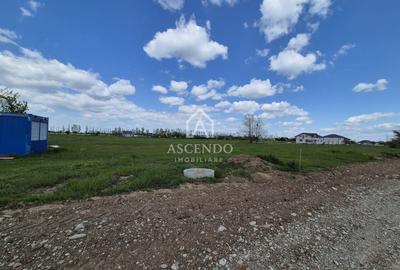 Teren Construcții intravilan de 704 mp, în Siliștea Snagovului - 8