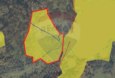 Teren agricol extravilan de 93334 mp, în Ocna Șugatag - 1