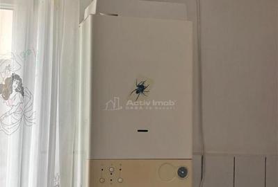 Resita, 2cam,cf1.Semidec.Moroasa - 10