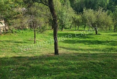 Teren de vanzare in comuna Arefu, sat Arefu, jude? Arge?. - 8